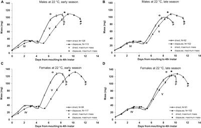 Ontogenetic Basis of Among-Generation Differences in Size-Related Traits in a Polyphenic Butterfly